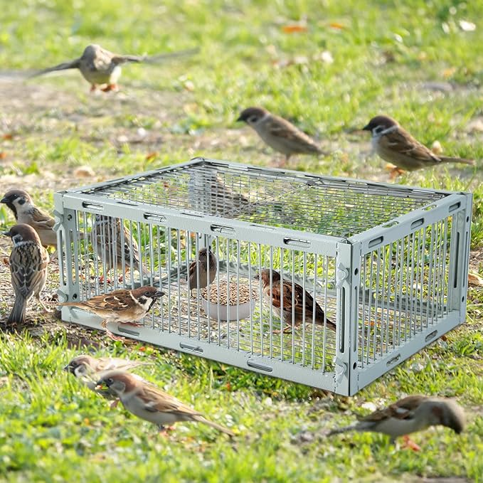 Bird Trap Cage with Escape-Proof Bird Traps for Small Birds Live Sparrow Trap Portable Easy Assembly and Unharmful.Made of lron with Anti-Rust Paint A3