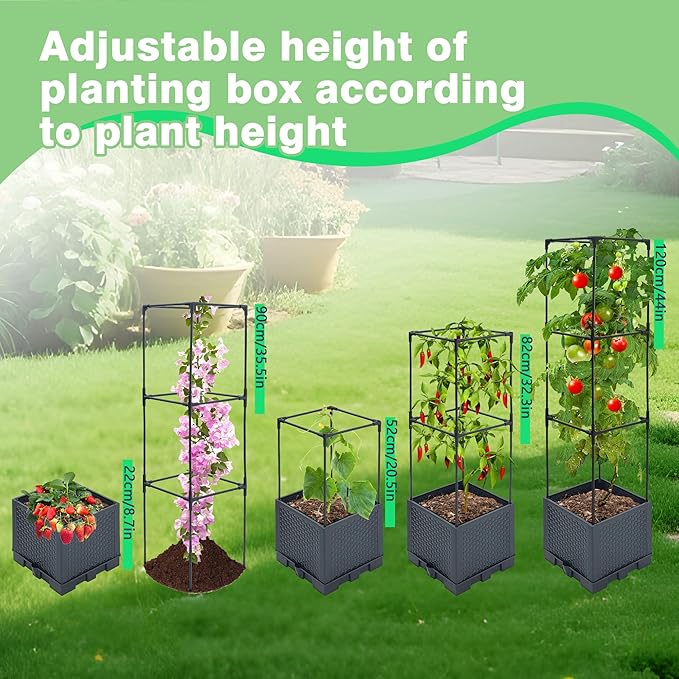 2 Pack Raised Garden Bed Planter Box with Trellis 44 Self Watering Tomato Planter Box for Climbing Vegetable Flowers and Plants Tomato Pot for Indoor Outdoor Patio Garden Planter Use