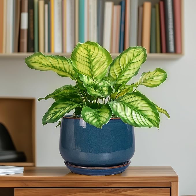 G EPGardening Ceramic Planter 6 Inch - Round Modern Ceramic Pot for Plants with Drainage and Plant Tray Indoor for Flower Apartment Decor Housewarming Gifts New Home Retro Blue