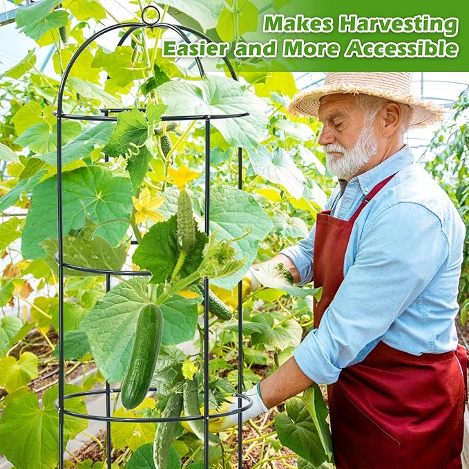 Trellis for Climbing Plants Outdoor 75 Tall Heavy Duty Metal Obelisk Garden Trellis Climbing Plant Support for Heavy Tomatos Cucumber Potted Vine Flower Rose Clematis Vegetable Pea Bean Trellises