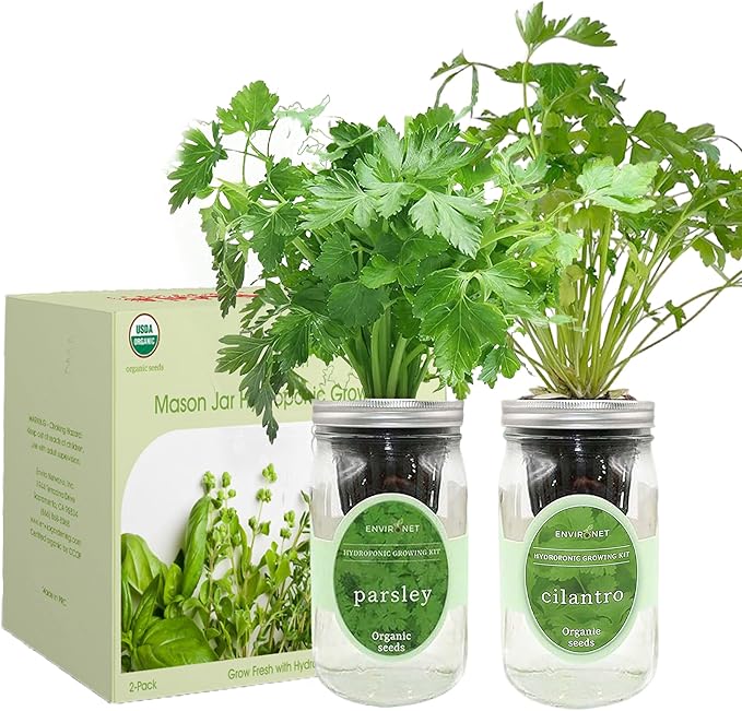 2-Pack Hydroponic Mason Jar Herb Garden Kit Indoor Herb Garden Self-Watering Starter Kit (ParsleyCilantro)