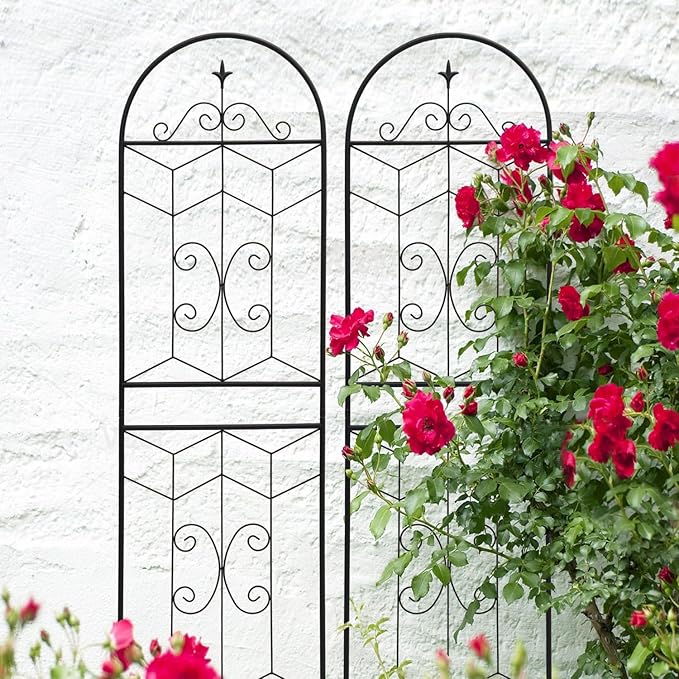 4 Pack Rustproof Metal Garden Trellis 71 x 19.7 for Climbing Plants and Outdoor Decor