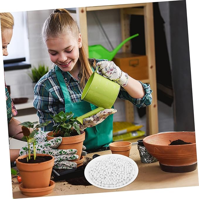 HANABASS 2Bags Bonsai Ceramsite Hydroponic Cultivation Soil Substrate for Indoor Plants Enhances Aeration Drainage Growing for Succulents