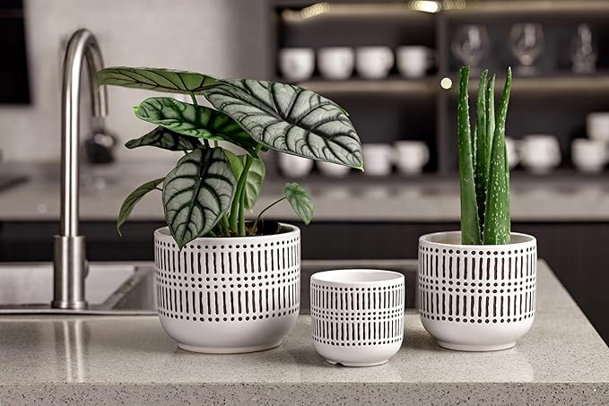 Docrin 3-Pack Ceramic Planters Set - 6.5+5.3+4 Dual-Tone Flower Pots with Drainage Holes Modern Indoor Outdoor Planters for Succulents/Herbs/Large Plants Home Office (Brownish Black &amp White)
