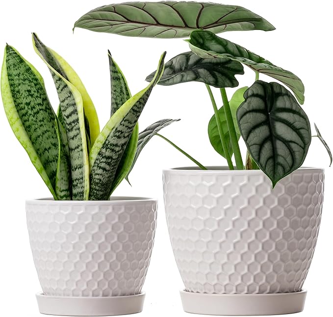 Docrin Ceramic Plant Pots Set of 2 (6.6+5.5) High-Fired Clay Indoor Planters with Drainage Holes &amp Saucer Honeycomb Modern Home Decor for All House Plants