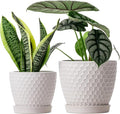Docrin Ceramic Plant Pots Set of 2 (6.6+5.5) High-Fired Clay Indoor Planters with Drainage Holes &amp Saucer Honeycomb Modern Home Decor for All House Plants