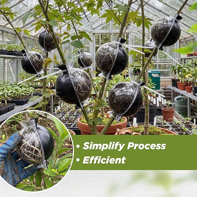 50 Pcs Air Layering Propagation Kit with Zip Ties Tree Grafting Kit Medium Reusable Half Black Half Transparent Grafting Ball Plant Rooting Graft Box for Fruit Graft Fast Propagation Plants