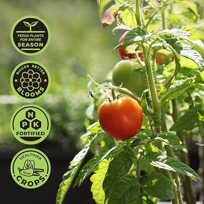 Minute Soil Plus Grow Cube - Amended Coco Coir Potting Soil - 1 Gallon Plastic Grow Bag - 5 Cubes - Self Contained Expanding Coconut Coir Grow Planter - Feeds Plants for an Entire Season