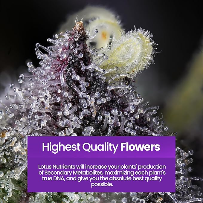 Grow Pro Series - Hydroponic Plant Nutrients and Fertilizer Water Soluble Plant Food - Massive Roots Made for Coco Coir Hydro &amp Soil Enhances Flowering &amp Fruiting Indoor &amp Outdoor Gr