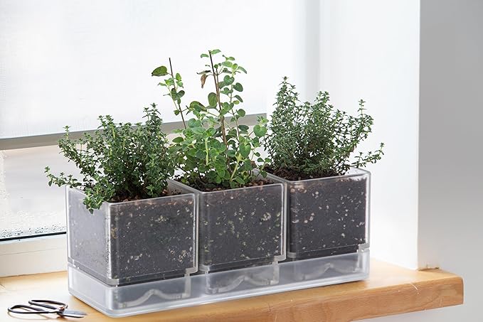 D'vine Dev Herb Garden Planter Set Plastic Plant Pots with Drainage and Saucer Indoor Succulent Cactus Vegetable Pot for Windowsill Garden Balcony Clear Set of 2 76-V-D-2