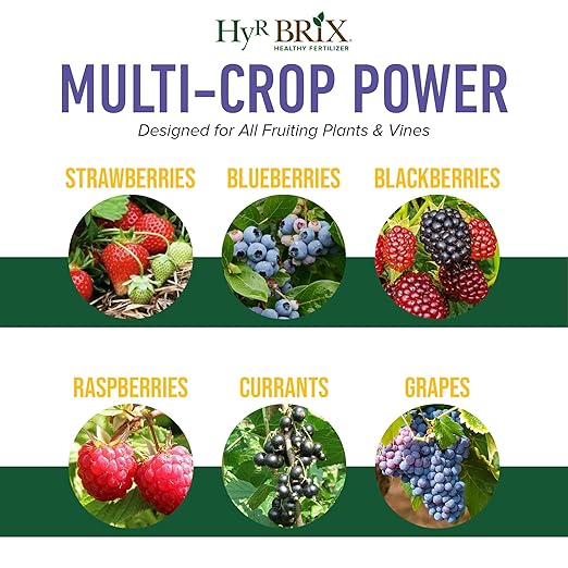 HyR BRIX Slow-Release 6-8-9 Fruit &amp Berry Fertilizer 5lb Bucket - Plant Food with Calcium &amp Sulfur - Essential Micronutrients for Better-Tasting Fruit &amp Higher Yields