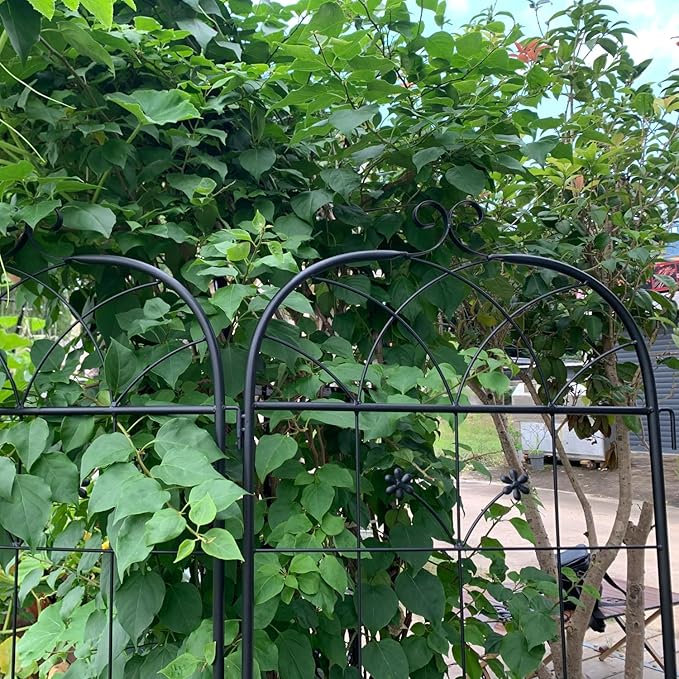 Metal Garden Trellis 2 Pack Metal Trellis for Climbing Plants