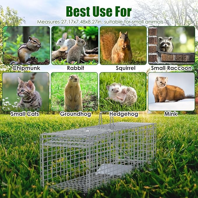 Live Animal Trap Cage 27 Heavy-Duty Folding Catch and Release Steel Humane Cat Trap for Racoons Stray Cats Rabbits Beavers Hedgehogs Chipmunk Small Wildlife Control