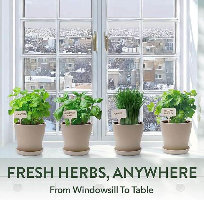HOME GROWN Herb Garden Planter Indoor Kit – Unique Christmas Gift for Adults Men &amp Women - Grow 4 Heirloom Herb Seeds on Kitchen Window – Beginner DIY Craft &amp Hobby Gardening Gift for Plant