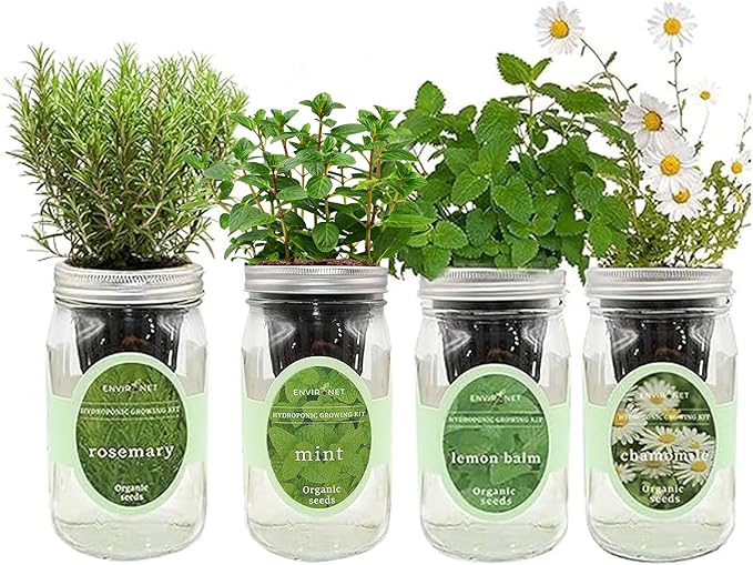Hydroponic Mason Jar Organic Herbal Tea Seed Starter Kits - Herbal Tea Garden Growing Kits Gardening Gift Grow Your Own Herbal Teas Indoor (Chamomile Mint Lemon Balm Rosemary)