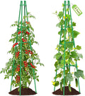 2 Pack 64 Tall Adjustable Obelisk Garden Trellis for Climbing Plants Rust-Proof Pe Coated Metal Plant Trellis Support for Raised Beds Potted Vines Cucumbers Tomatoes Indoor Outdoor Use (2 Pack)