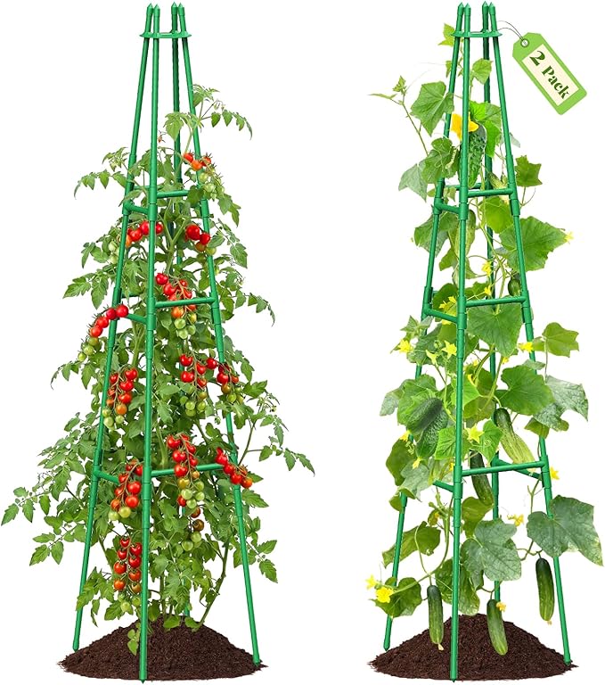 2 Pack 64 Tall Adjustable Obelisk Garden Trellis for Climbing Plants Rust-Proof Pe Coated Metal Plant Trellis Support for Raised Beds Potted Vines Cucumbers Tomatoes Indoor Outdoor Use (2 Pack)