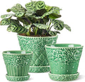 Ceramic Plant Pots 3.8+4.9+5.8 Inch Set of 3 Flower Pots with Drainage Hole &amp Saucer Embossed Planter Pots for Indoor Plants Home Decor Green