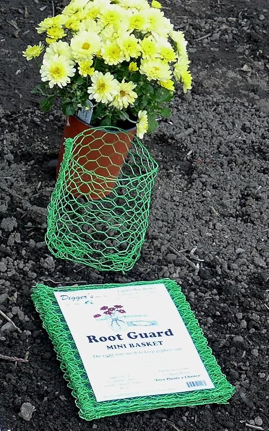 24 Quantity Rodent/Gopher Plant and Root Guard Mini Size Baskets for Quart Size Plants Outdoor Gardening and Landscaping.