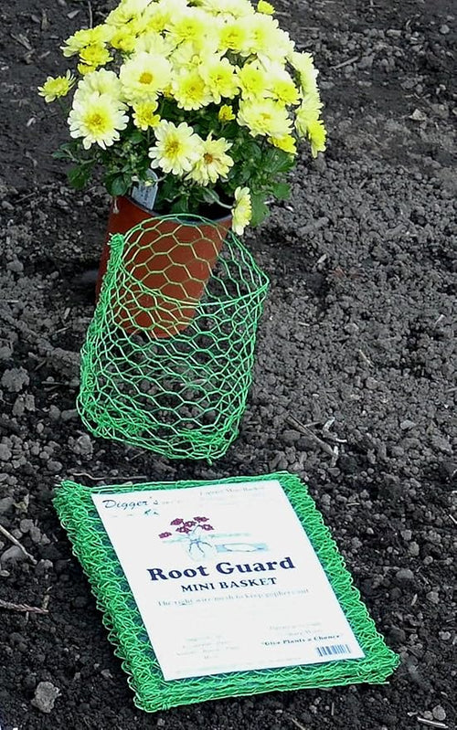24 Quantity Rodent/Gopher Plant and Root Guard Mini Size Baskets for Quart Size Plants Outdoor Gardening and Landscaping.