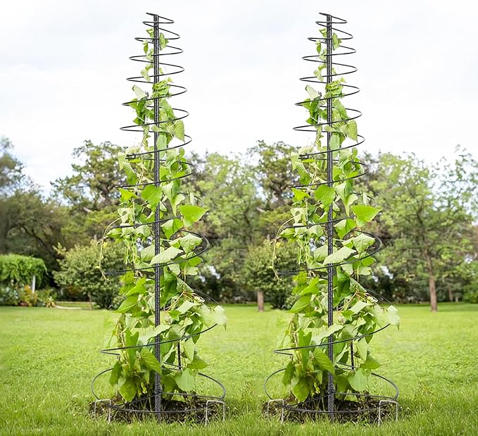 HOME RIGHT Metal Garden Trellis for Climbing Plants 2 Pack 48 inch Tall Black Rectangular