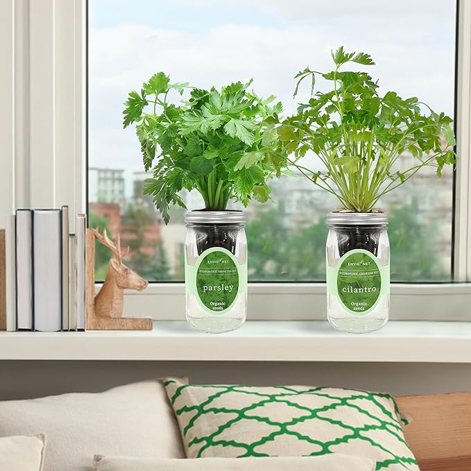 2-Pack Hydroponic Mason Jar Herb Garden Kit Indoor Herb Garden Self-Watering Starter Kit (ParsleyCilantro)