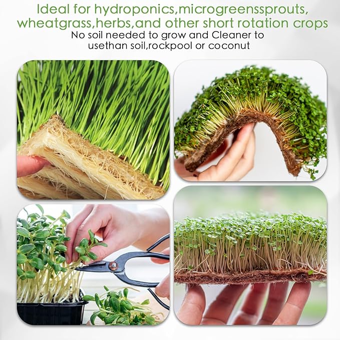 Microgreens Growing Trays Kit – 6 Pack Micro Green Grow Trays with 12 Hemp Fiber Grow Mats 15 x 11 x 2.5 Inch Seed Starter Trays for Growing Microgreens Indoor Gardening