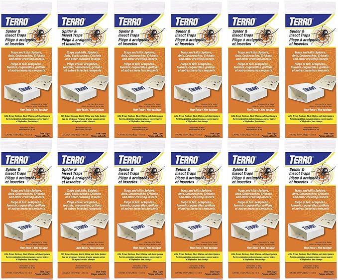 SPIDER INSECT TRAP 4PK