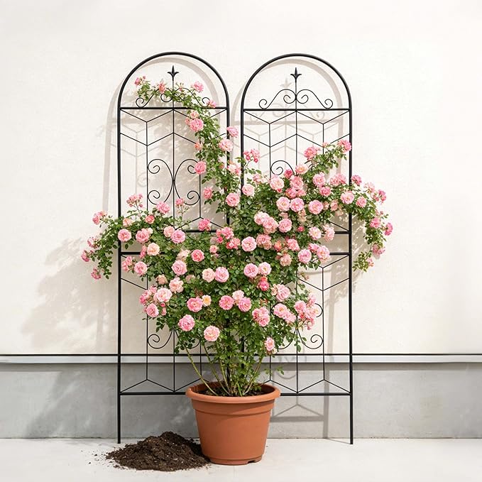 2 Pack Large Garden Trellis Heavy Duty Rustproof Iron Plant Trellis for Potted Plant Support Metal Climbing Rose Trellis Vine Vegetable Cucumber Black -71 H x 19.7 W