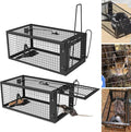 2 Packs Humane Rat Trap Outdoor Mouse Traps Indoor Use Rodent Chipmunk Traps for Small Live Animal Catch and Release - Black