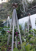 Akoris Metal Garden Obelisk Trellis | Made in USA | Sculptural Steel Support for Roses Vegetables Cliimbing Plants Vines | Garden Art for Landscape Design | Regular (Zinc/Silver)