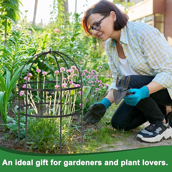 1 Pcs Jardin Bird Cage Plant Support 24 H Large Sturdy Grow-Through Flower Support Peony Cage Climbing Plant Support Trellis Sculptural Garden Decor for Perennial Flowers (Black)