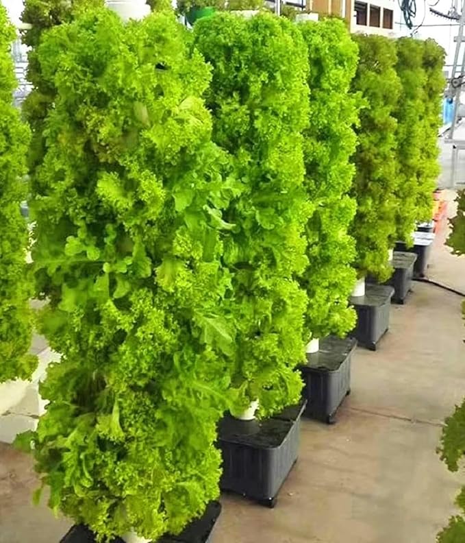 45 Holes Hydroponics Growing System Indoor Grow System Vertical Grow Tower Soilless Cultivation Growing System-1PC