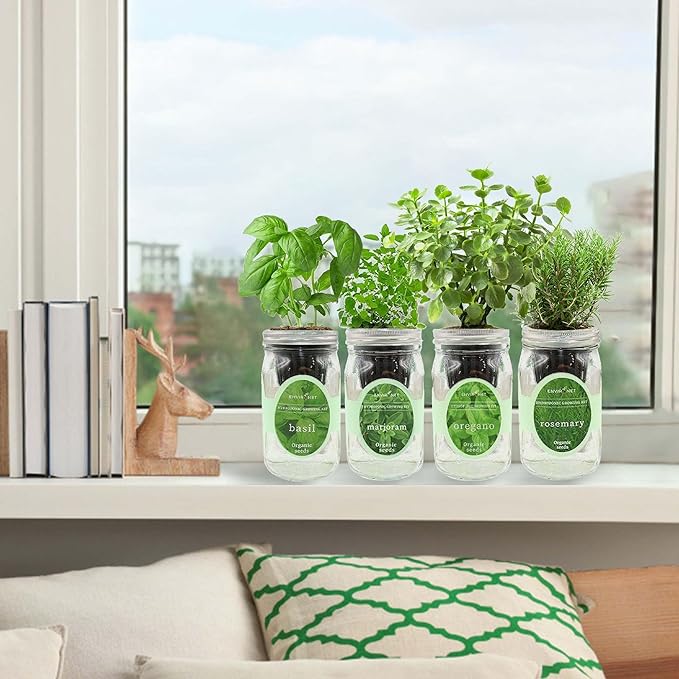 Hydroponic Mason Jar Indoor Garden Organic Seed Starter Kits - Italian Herb Blend Growing Kits Windowsill Herb Garden Gardening Gift (Basil Marjoram Oregano Rosemary)