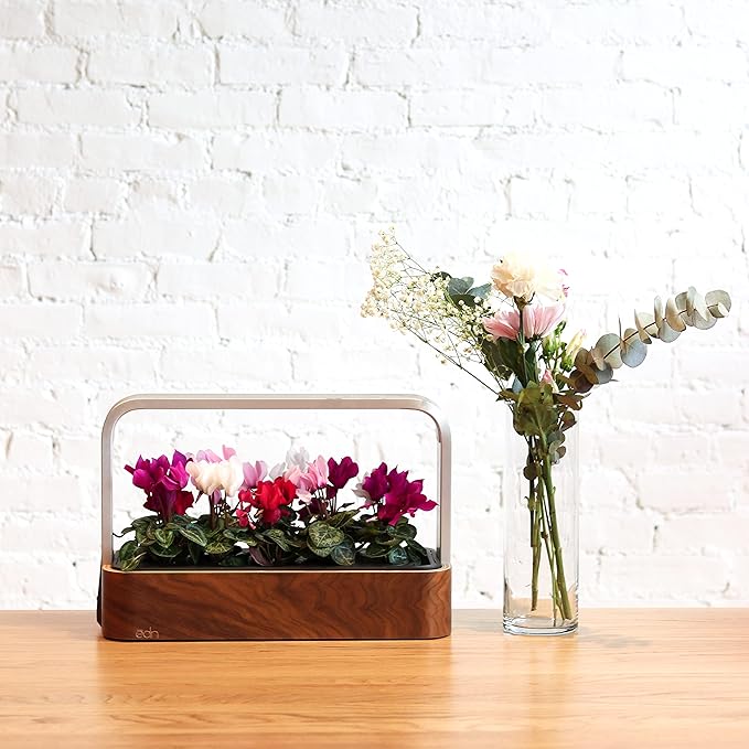 EDN SmallGarden with Basil SeedPods Indoor Grow Smart Garden for iOS Devices - Fresh Home Grown Herbs Plants and Flowers - Grow up to 10 Different Plants at Once