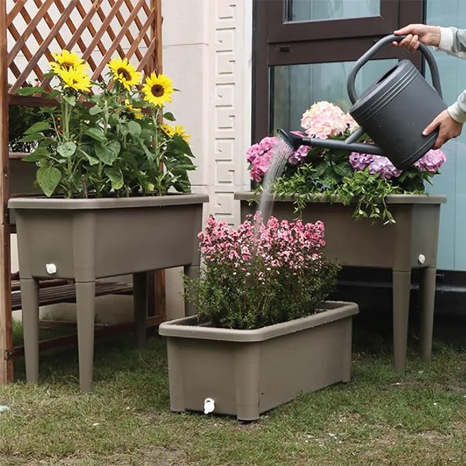 13.2 Gallon Self Watering Raised Garden Bed with or Without Transparent Ventilation Lid Greenhouse Planter Box with Legs for Indoor/Outdoor Use Ideal for Herbs &amp Vegetables (Coffee Without Lid)