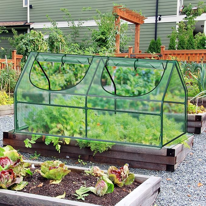 GreatBuddy Portable Mini Greenhouse 3×3×6Ft High-Density PE Plant Cover with 2 Roll-up Zipper Windows Perfect for Indoor Outdoor Plant Growing