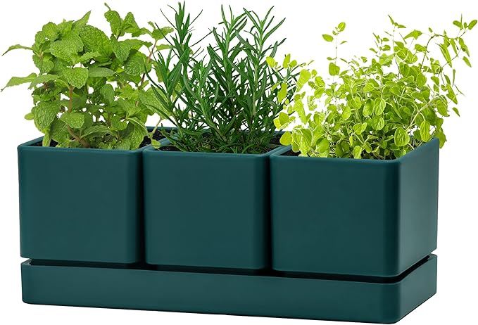 D'vine Dev Herb Garden Planter Set Plastic Plant Pots with Drainage and Saucer Indoor Succulent Cactus Vegetable Pot for Windowsill Garden Balcony Green Set of 1 76-V-C-1