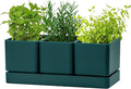 D'vine Dev Herb Garden Planter Set Plastic Plant Pots with Drainage and Saucer Indoor Succulent Cactus Vegetable Pot for Windowsill Garden Balcony Green Set of 1 76-V-C-1