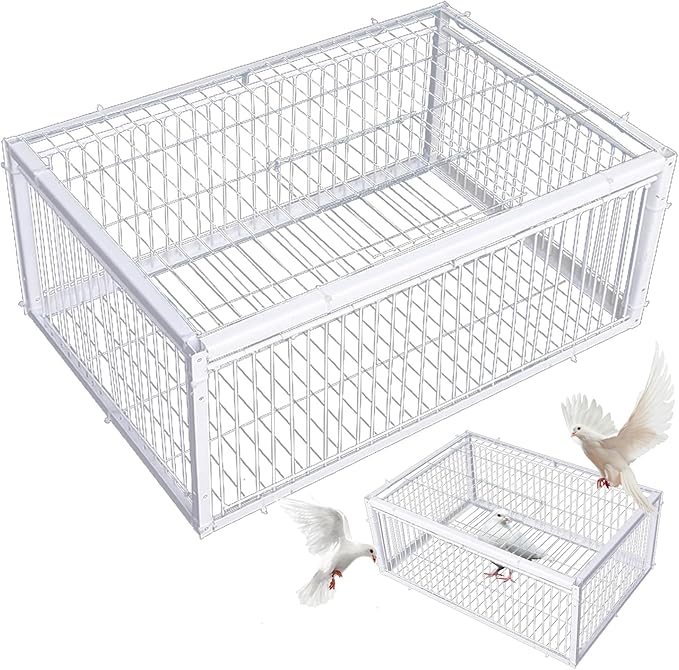 Metal Pigeon Trap with One-Way Entries &amp Skylight Bird Cage for Farms &amp Gardens/16x12x10 Inch
