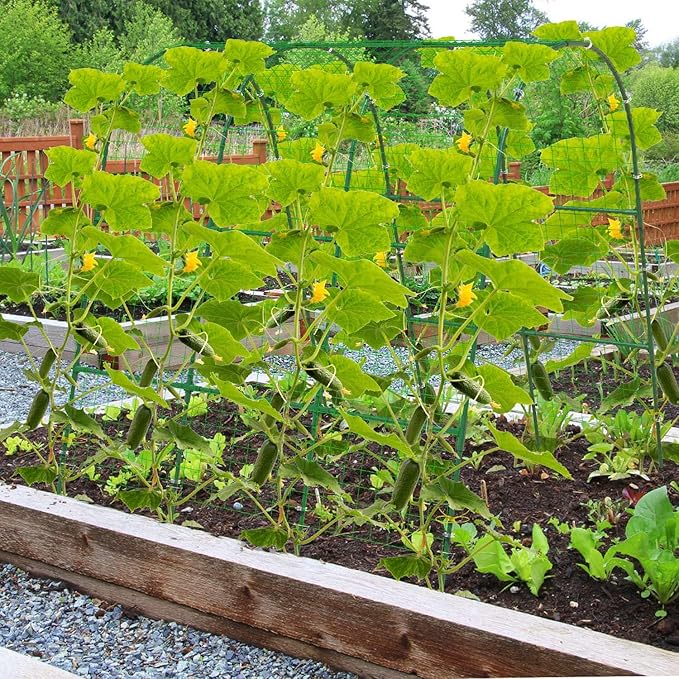 Cucumber Trellis for Raised Bed Arch U-Shaped Garden Trellis for Climbing Plants Adjustable Plant Support with Climbing Net for Cucumbers Tomatoes Peas Beans &amp Vine Flowers (50x47x45 Inch)