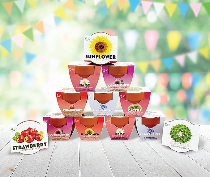 BUZZY Seeds Terracotta Mini Grow Pots 12-Pack – All-in-One Flower Kits with Growing Medium Sunflower Daisy Coneflower Strawberry Forget-Me-Not and Cactus Seeds DIY Plant Starter Collection