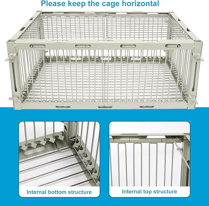 Universal Sparrow Trap Cage – Birds Trap Cage with Escape-Proof Design One Way Bird Catcher Traps for Starlings Quail Cardinals and So OnMade from Rust-Resistant Metal for Long-Lasting Use