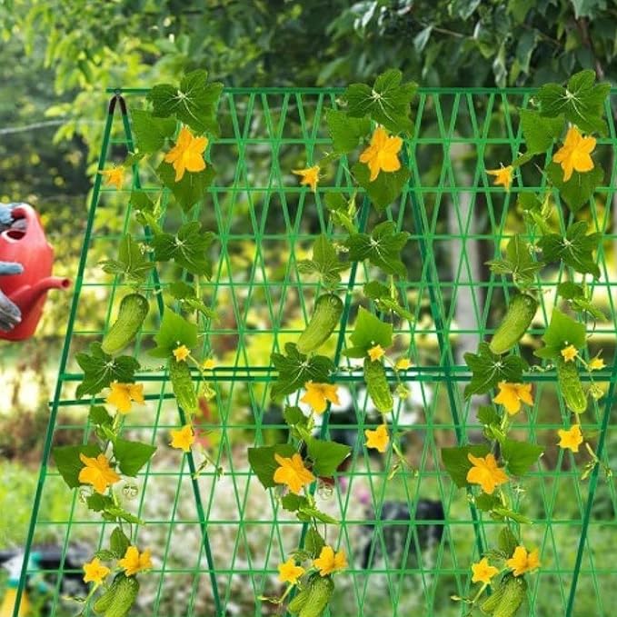 Cucumber Trellis Plant Stakes Tomato Cage Plant Support Garden Trellis for Flowers Vines Vertical Climbing Plants Yard- 60 cmx60 cm