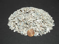 Crushed Oyster Shell MEDIUM Dyna Rock Cactus Cacti Seedling Soil Media 20 Lb Bag