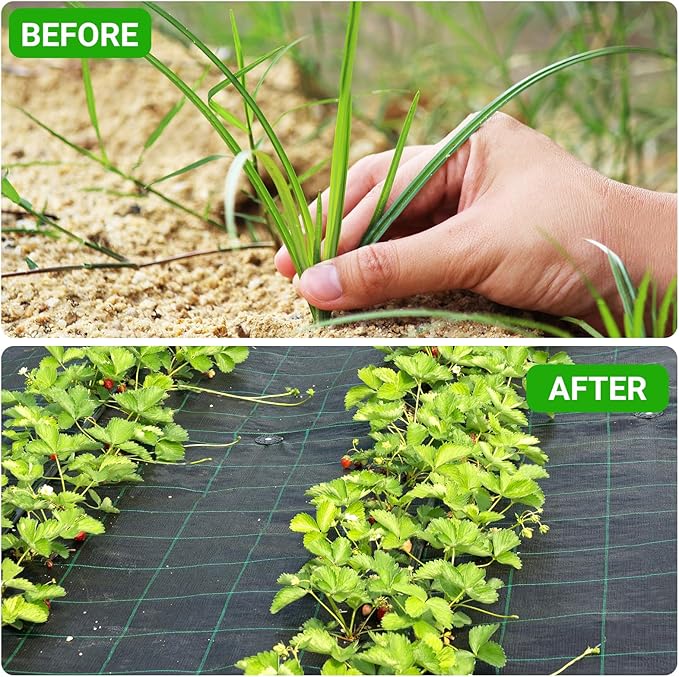 UNIFAMILY 2pcs Landscape Fabric Heavy Duty Total 3 x 60 Feet Woven Barrier Fabric with Planting Holes Garden Ground Cover Fabric Garden Sheets Planting Fabric Gardening Fabric with Precut Holes