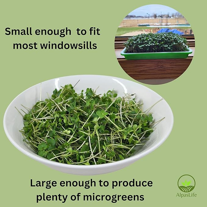 Complete Home Microgreens Kit - Organic Indoor Garden System - Includes 2 Sets of Reusable Trays Premium Spray Mister Coco Coir Growing Medium 2 Packs Organic Seeds – Radish and Broccoli