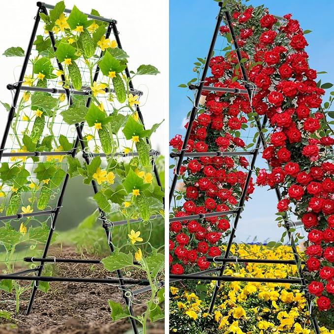 6ft Cucumber Trellis for Raised Bed Garden Trellis for Climbing Plants Outdoor A Frame Metal Trellis Support with Net for Vegetables Tomato Zucchini Squash Beans Peas Melons Rose FlowersVines