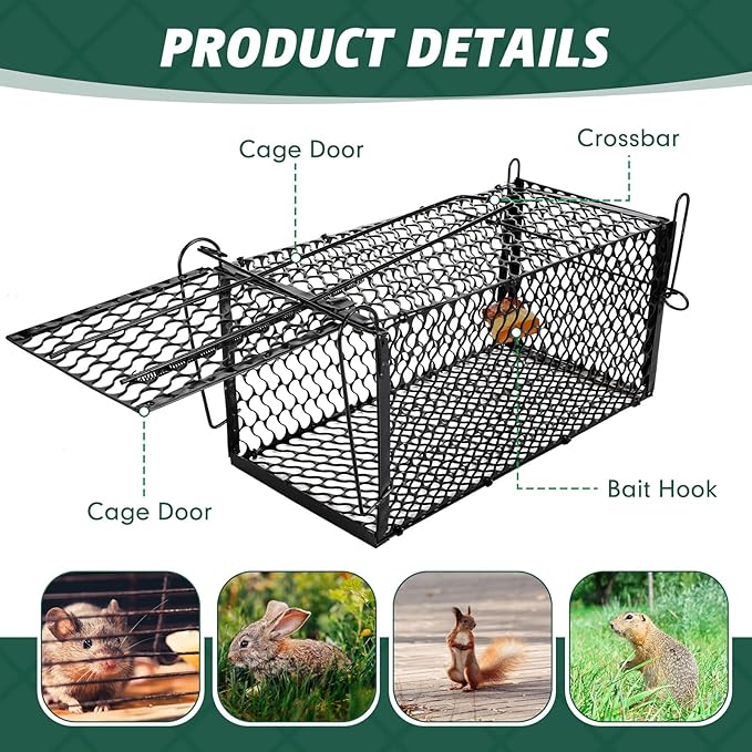Qualirey 6 Pcs Humane Rat Trap Small Chipmunk Mouse Squirrel Cage Rodent Animal Voles Hamsters Cage Catch and Release Trap for Home Garden Indoor Outdoor(Black12 x 5.5 x 5.5 Inch)
