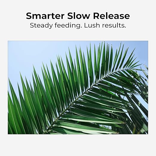 Real Growers Palm Tree Fertilizer 12-4-11 | 12-Month Slow Release Granular Plant Food for Queen Palm Sago Palm Date Palm Cycad | 5 lb